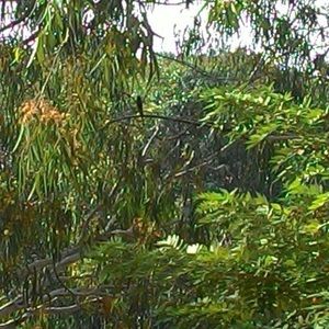 Meet your Posher, Amirah